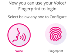 Voice Biometric